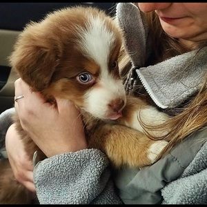 Meet your Posher, Caroline